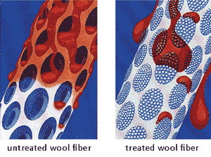 simulation of wool treated with Fiber ProTector